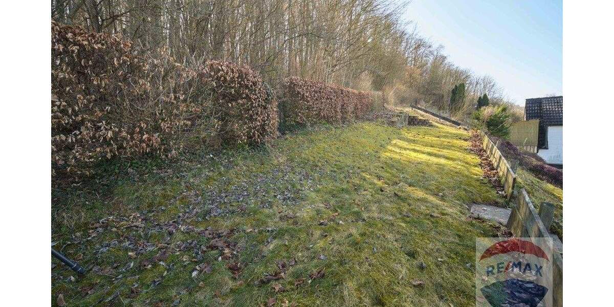 Zugang Wald